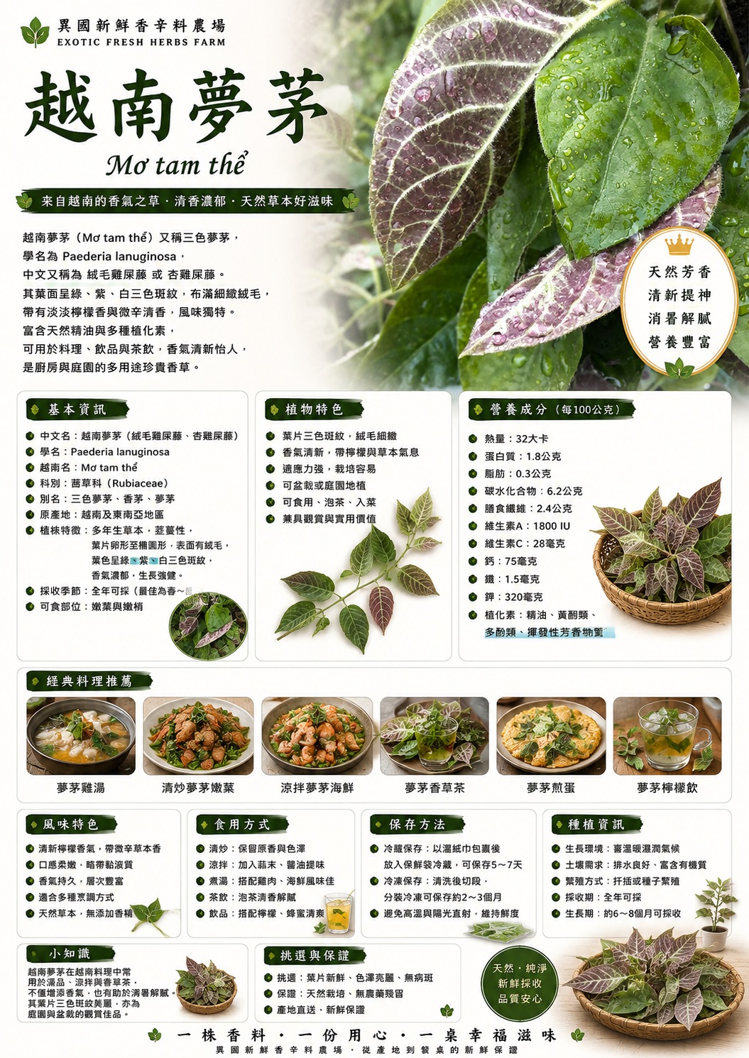 越南夢茅Mơ tam thể 