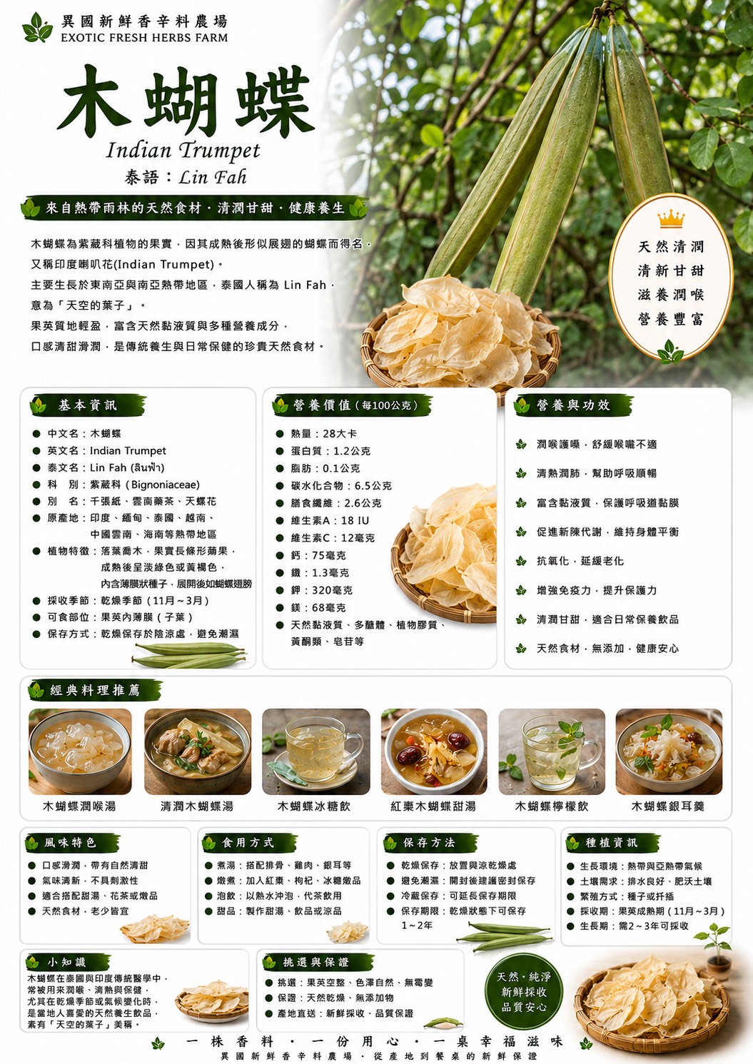 木蝴蝶 มะลิดไม้